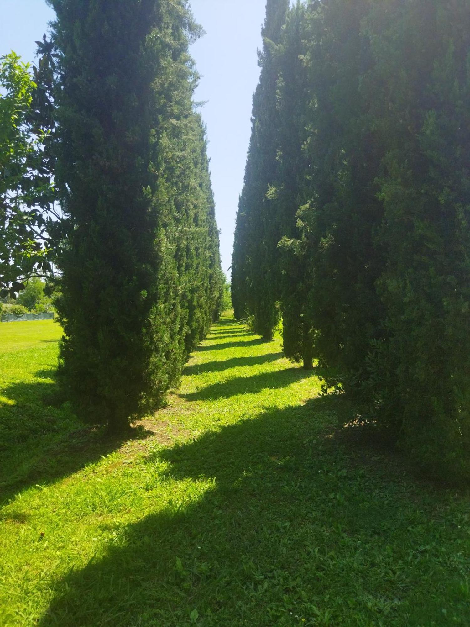 קאפאנורי Villa Fontana מראה חיצוני תמונה